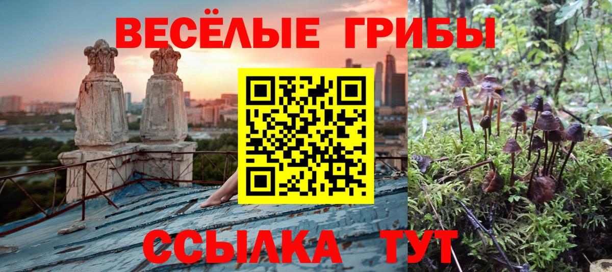Псилоцибиновые грибы Cubensis Куйбышев