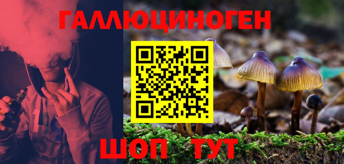 Галлюциногенные грибы прущие грибы  Вход с VPN  Галлюциногенные грибы Psilocybine cubensis  Куйбышев 